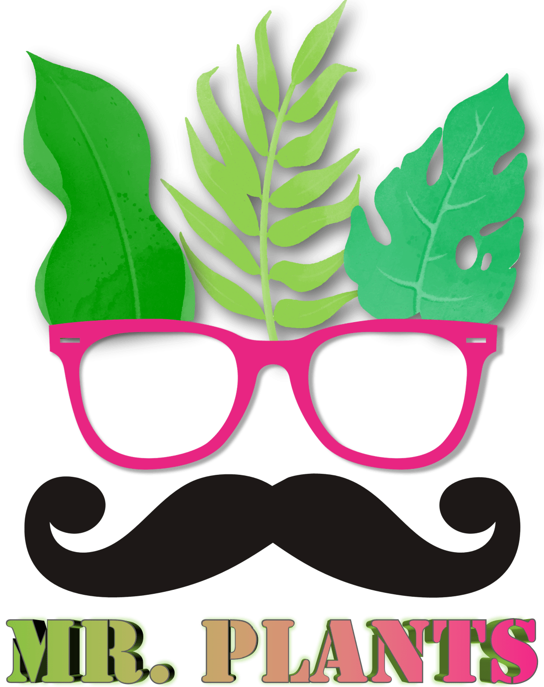 Mr Plants - Exotische kamerplanten & accessoires