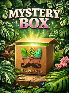 Mr. Plants - Plants Mystery Box