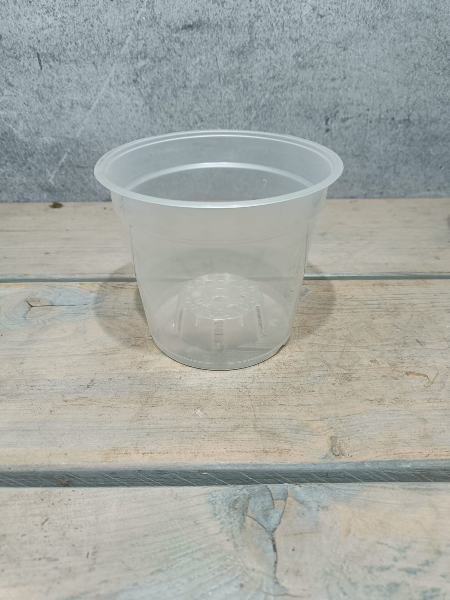 Transparenter Pflanzentopf
