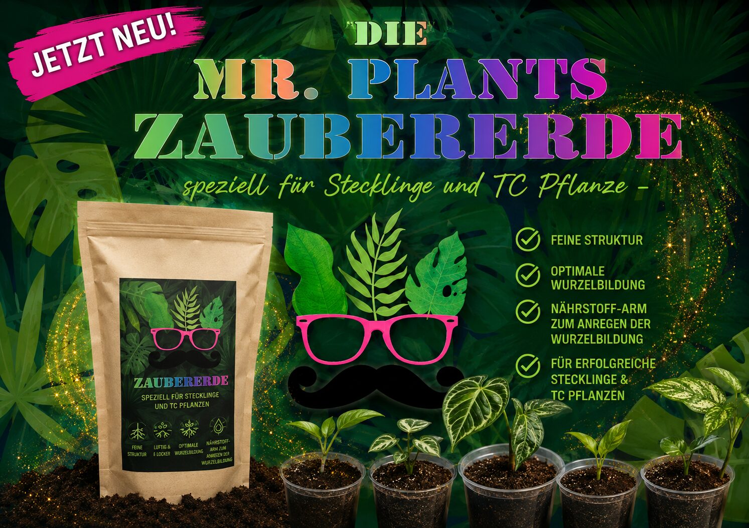 Zaubererde - Stecklinge/TC - 6,5L